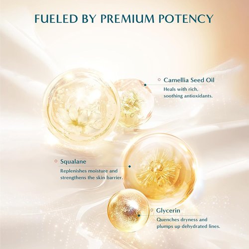 FLORASIS Dewy Touch Tinted Lip Balm - Nourishing Lip Mask for Dry Lips | 01 Aromatic Peach, 1 Count