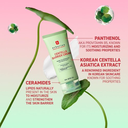 Erborian Centella Barrier Cream - Deep Ceramide Moisturizer for Dry & Sensitive Skin | Calms & Repairs Texture