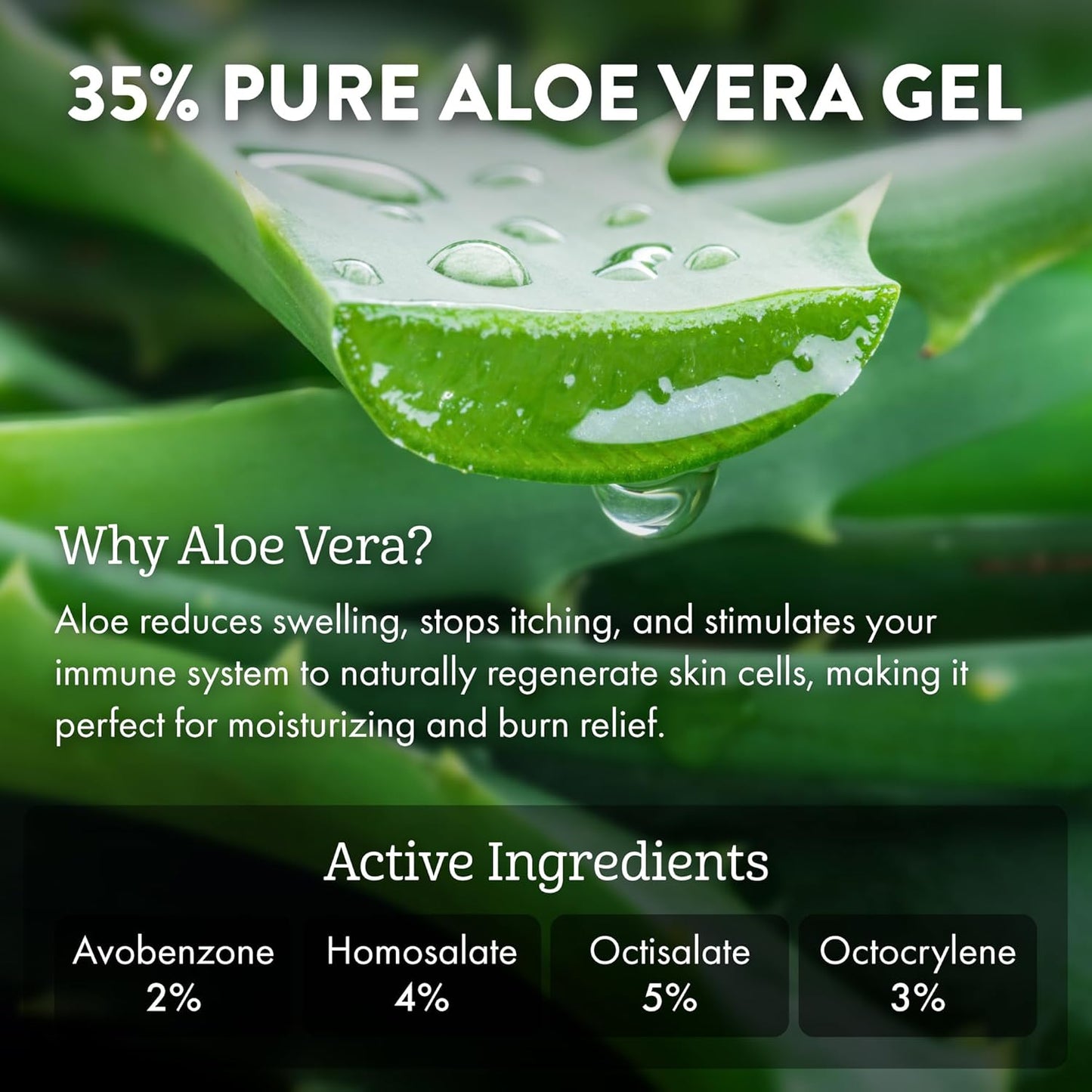 Aloe Up Sport Sunscreen Body Lotion SPF 15 | Hydrating Aloe Vera Gel, Non-Greasy, Reef Friendly - 6 Oz