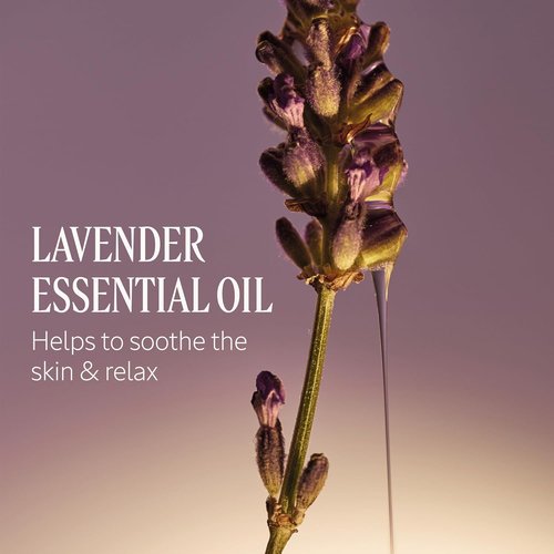 L'OCCITANE Lavender Liquid Soap - Shea Enriched Formula for Hands & Body | 16.90 Fl Oz