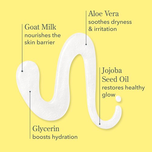 Beekman 1802 Goat Milk Hand Soap - Moisturizing Liquid Soap for Sensitive Skin | Fragrance-Free 12.5 fl oz