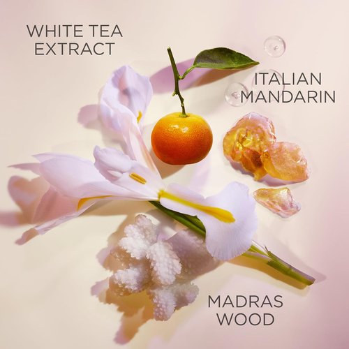 Elizabeth Arden White Tea Cream Deodorant - Refreshing Scent | 1.5 Oz, Single Pack