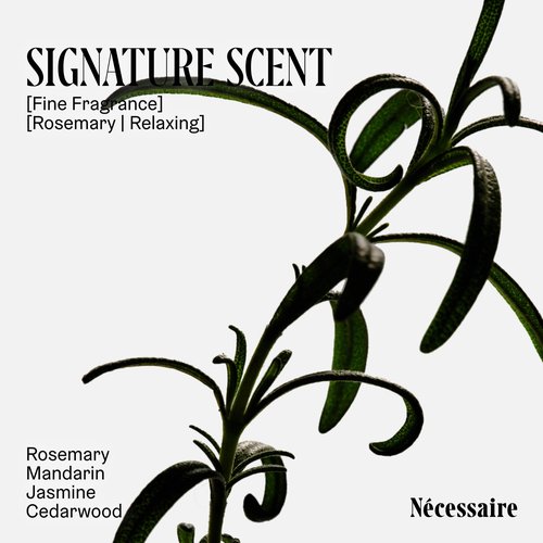 Nécessaire Rosemary Shampoo – Multi-Protein Strengthening Shampoo with Rosemary Oil, Ceramides + Proteins – Gentle Gel Cleanse for Thinning Hair, Breakage – Sulfate-Free + Color-Safe. 3.4 oz