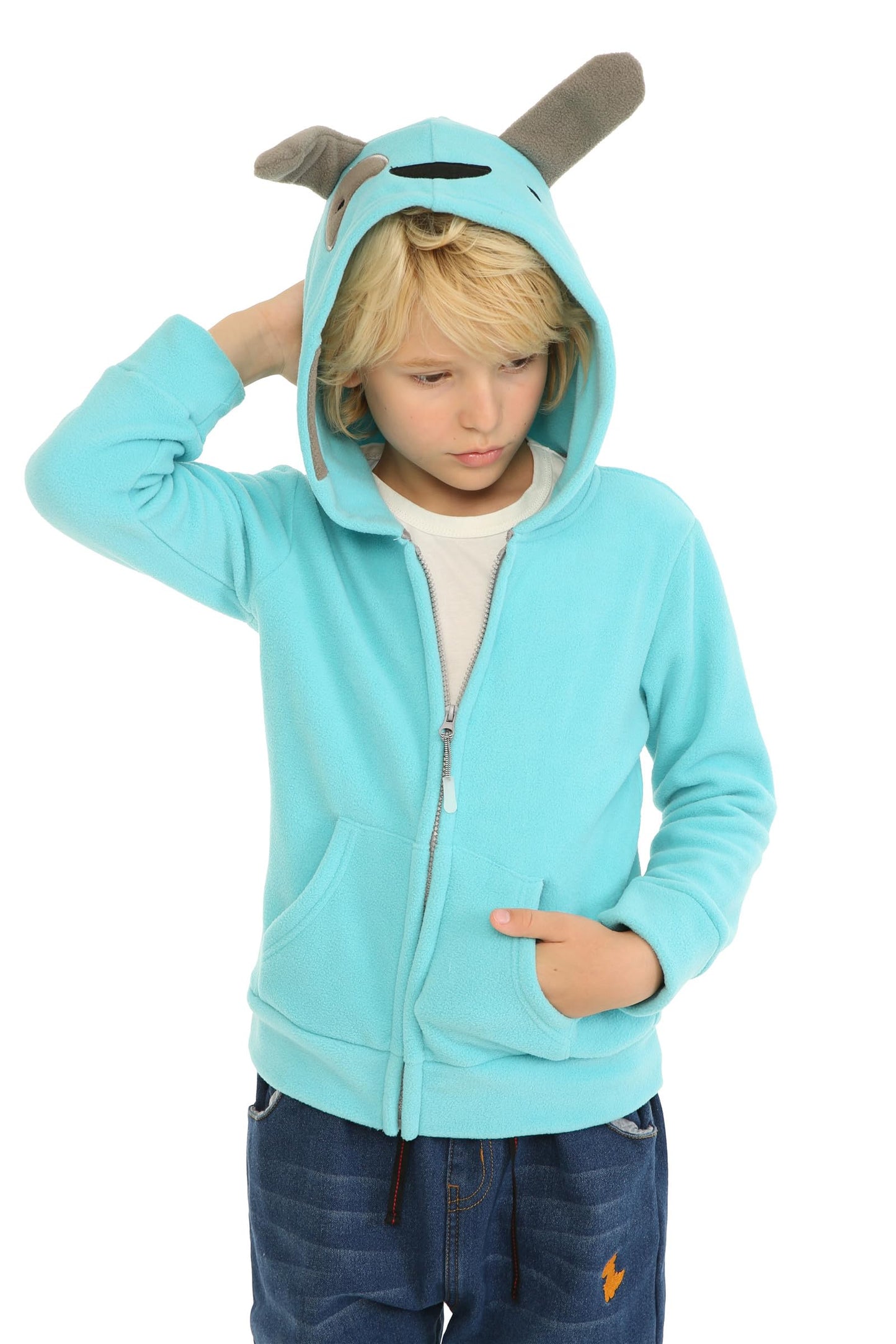 Mud Kingdom Cute Little Boy Fleece Jacket with Hood 3T Blue Dog