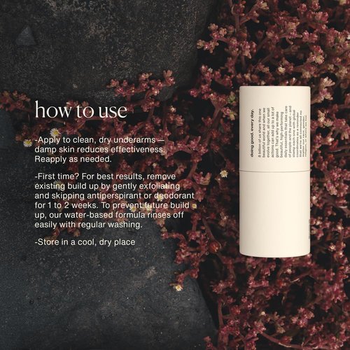 Evolve Together Aluminum-Free Natural Deodorant | Vetiver & Cedarwood Scent | Soothes Skin, Vegan | 1.69 Oz
