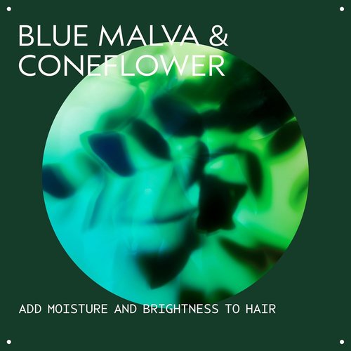 Aveda Blue Malva Color Conditioner - Purple Conditioner for Silver, Gray & Blonde Hair | 96% Naturally Derived, 8.5 Fl Oz
