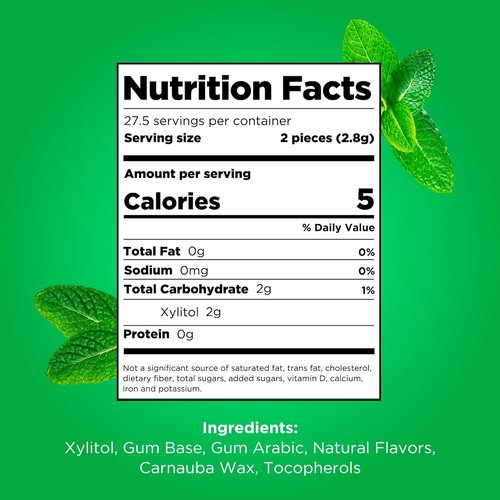 PUR Gum - Aspartame Free Chewing Gum with 100% Xylitol | Natural Spearmint Flavor, 55 Pieces