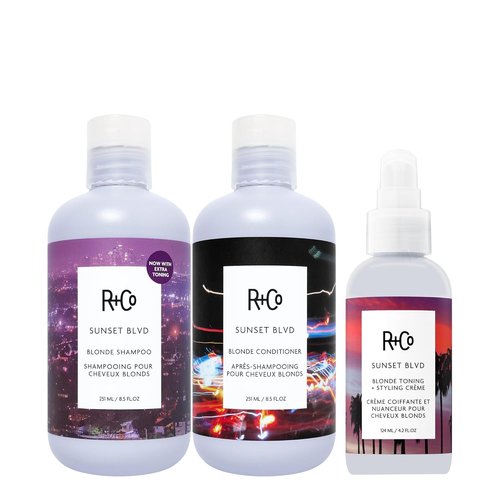 R+Co Sunset Blvd Daily Blonde Shampoo - Brightening & Brassiness Control | Vegan & Cruelty-Free | 8.5 Fl Oz