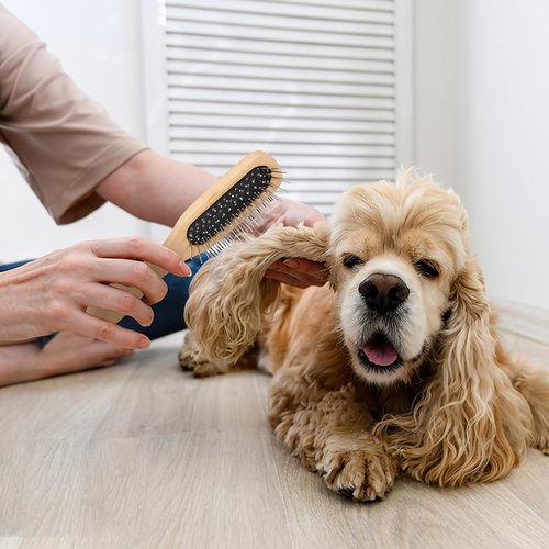 JJUNW Hair Brush - Natural Wood Handle Detangling Brush with Steel Bristles | Travel-Friendly Design for All Hair Types