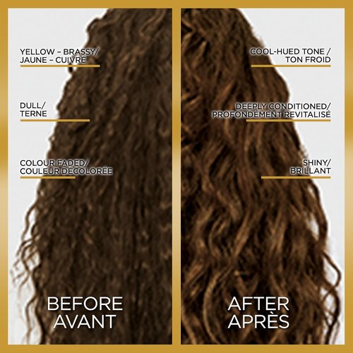 L'Oreal Paris Le Color Toning Hair Gloss - Cool Brunette, 4 Ounce | Vibrant Shine & Easy Application