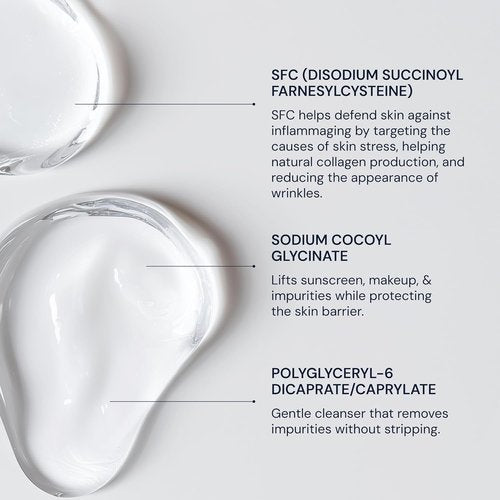 Blueprint Bryan Johnson Gentle Facial Cleanser - Age-Defying Gel with SFC & Hyaluronic Acid for Hydrated Skin - Vegan & Fragrance-Free