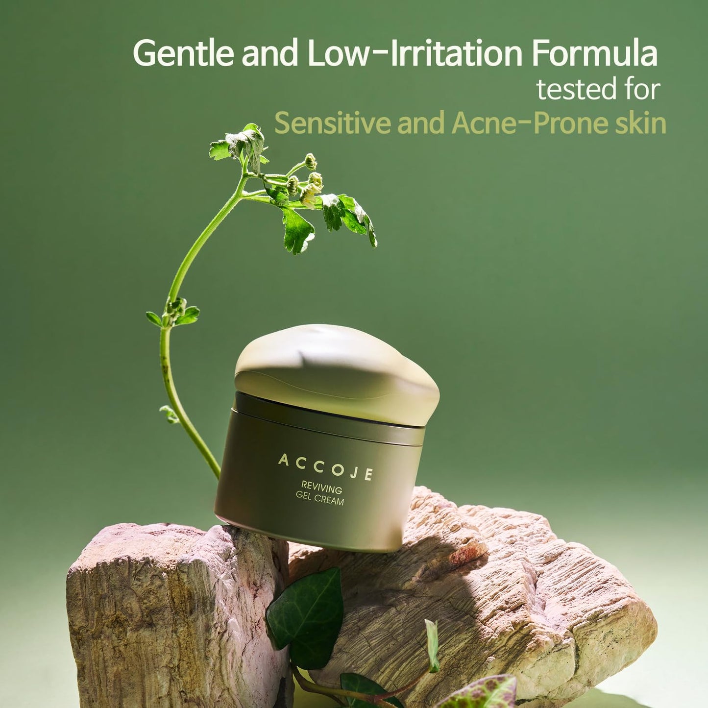 ACCOJE Reviving Gel Cream - Hydrating Moisturizer for Sensitive Skin | Soothes Redness with Jeju Extracts, 1.69 fl oz