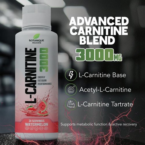 Liquid L-Carnitine by Skiennix - 3000 mg Fast Absorption Formula | Sugar-Free, Vegan, Non-GMO | Energy & Metabolism Support | 31 Servings