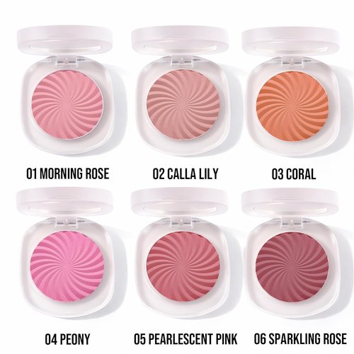 Regine Switzerland Matte Powder Blush Palette - High Pigment, Vegan & Cruelty-Free | 0.1 Ounce