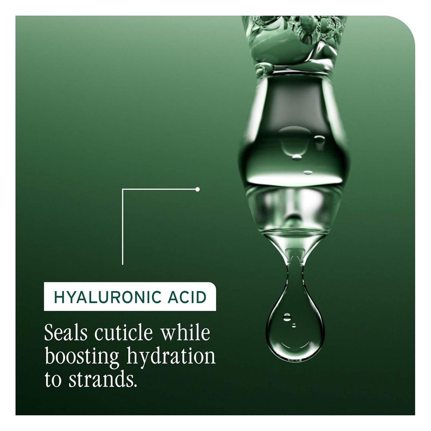 Biolage Hydra Source Shampoo - Moisturizing & Shine-Enhancing Formula for Dry Hair | Infused with Aloe Vera & Hyaluronic Acid