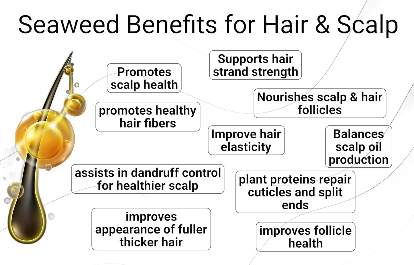 Skiennix Leave-In Conditioner - Seaweed, Kelp & Algae Enriched Hair Treatment | 8.5 fl. Oz - Frizz Control & Shine