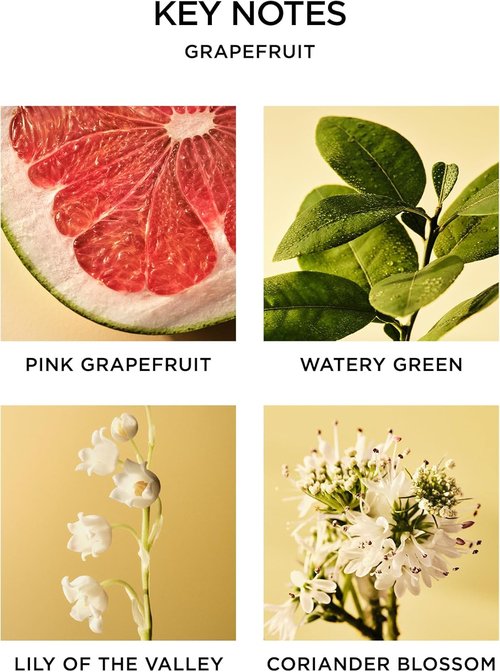 NEST New York Scented Classic Candle - Grapefruit Fragrance | 8.1 oz | Up to 60-Hour Burn Time