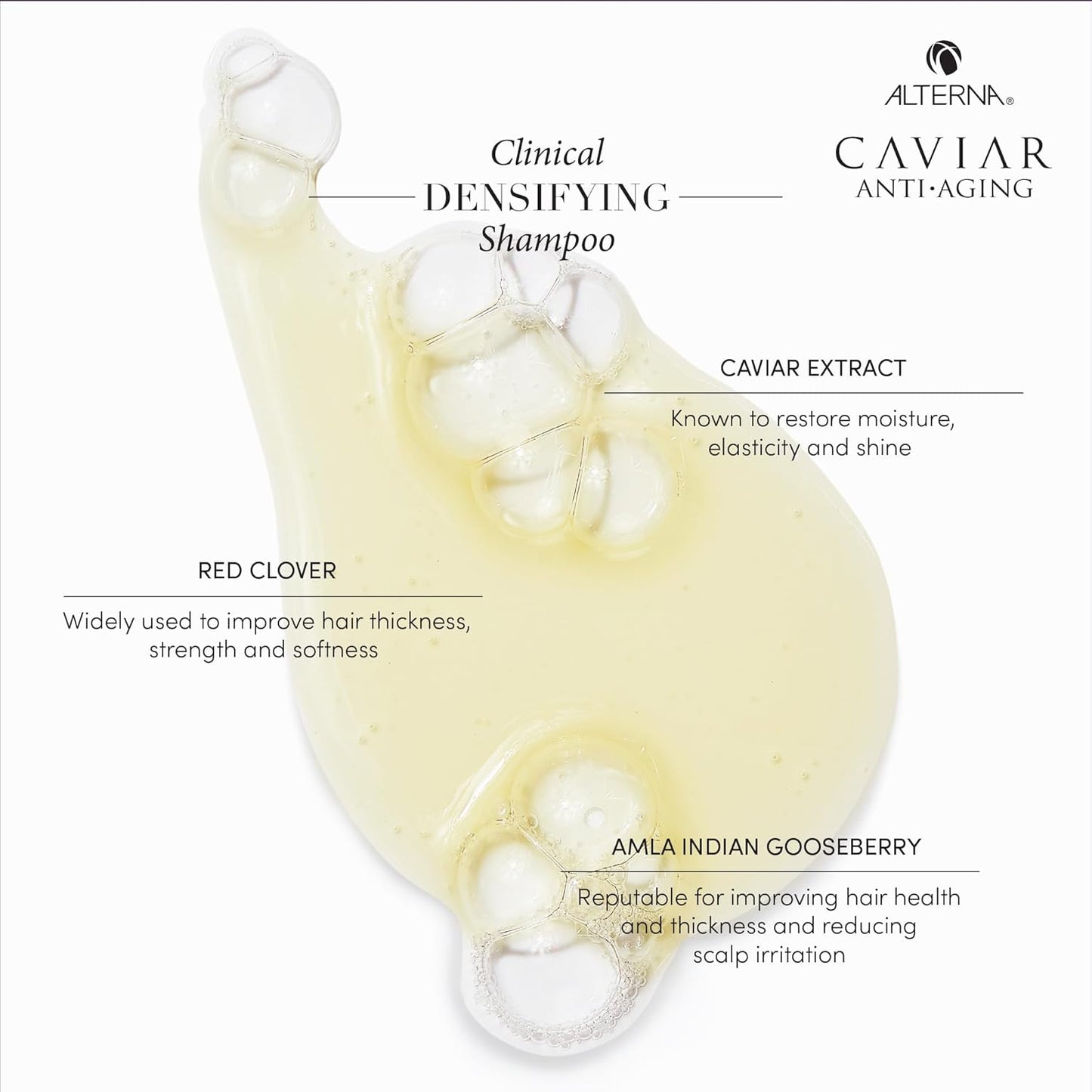 Alterna Caviar Anti-Aging Shampoo - Densifying Formula for Fine, Thinning Hair | Sulfate-Free
