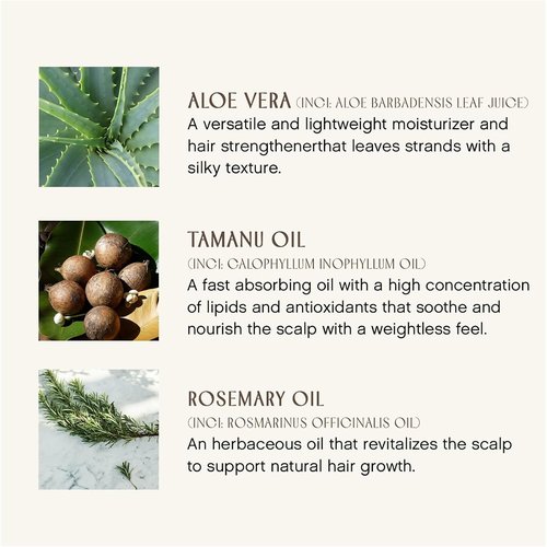 Innersense Organic Beauty - Fragrance-Free Leave-In Conditioner | Hydrating & Detangling | Non-Toxic, 10 fl oz