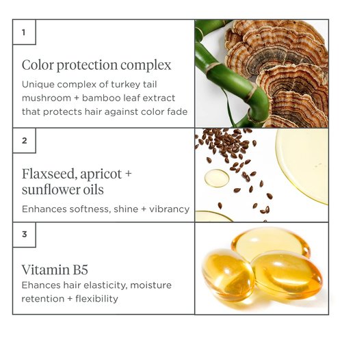 Briogeo Color Me Brilliant Conditioner - Protects Vibrant Hair Color, Strengthens & Hydrates | 8 fl oz