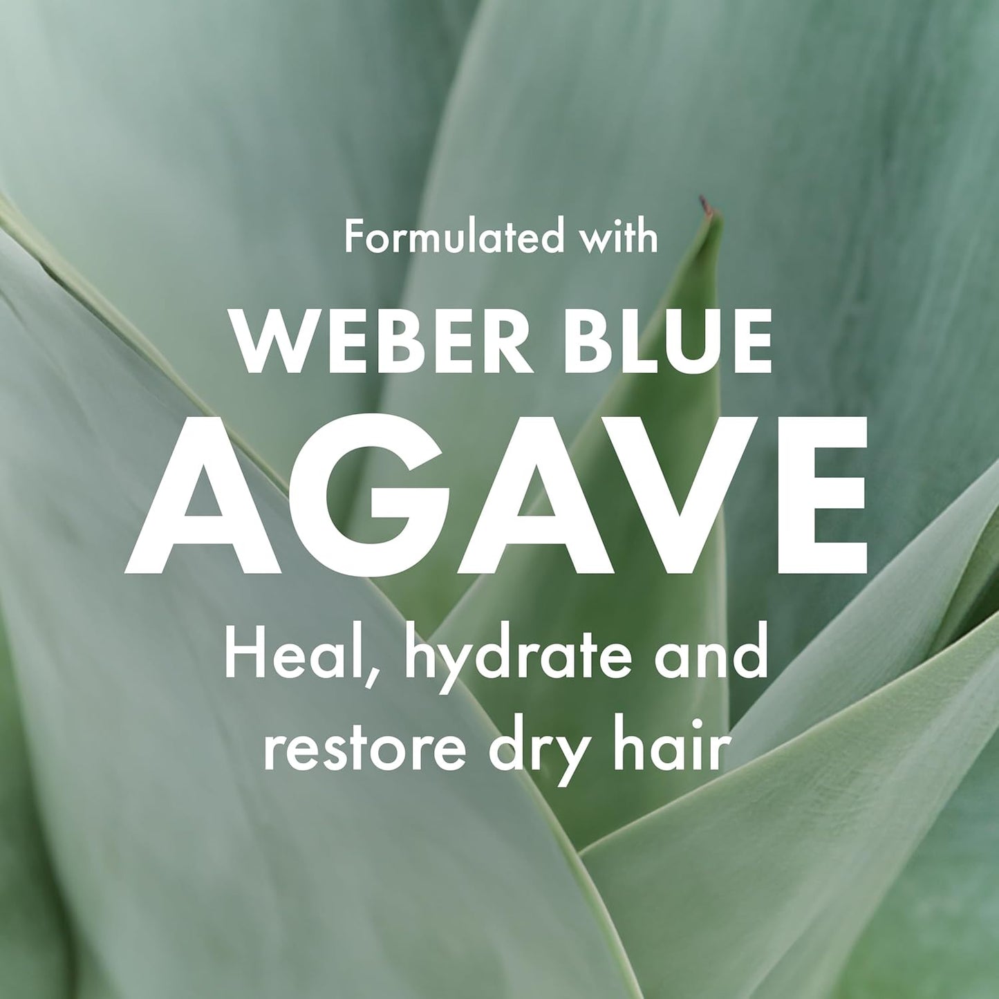 Agave Restorative Hydrating Mask - Deep Conditioning Treatment for Dry or Damaged Hair | 8.5 fl oz