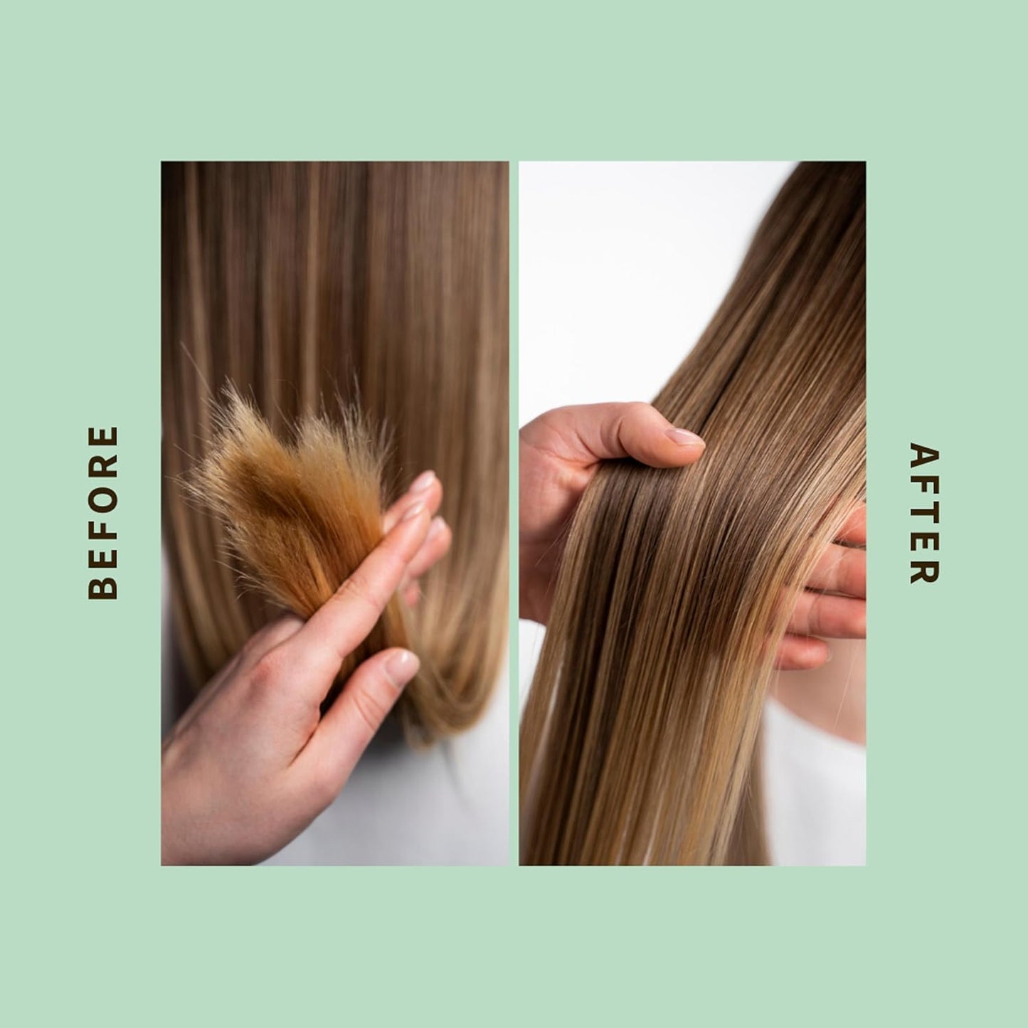 SHAERI Purifying Shampoo - Clarifying Formula for Normal to Oily Hair - Hydrating & Silicone-Free - 6.76 oz