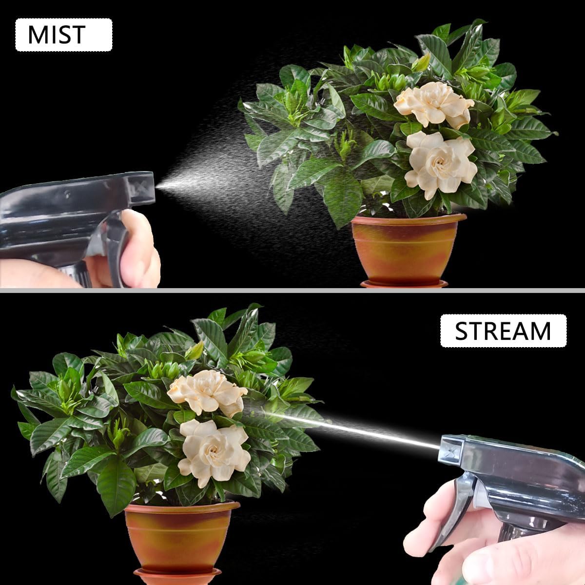 Skiennix Plant Mister Glass Spray Bottle - 13oz Reusable Green with Adjustable Nozzle for Indoor Plants & Gardening