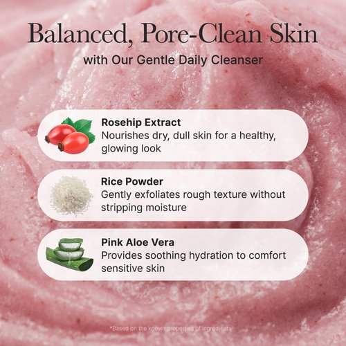Arencia Rosehip Face Cleanser - Brightening Rice Mochi Daily Scrub for All Skin Types | 4.23oz