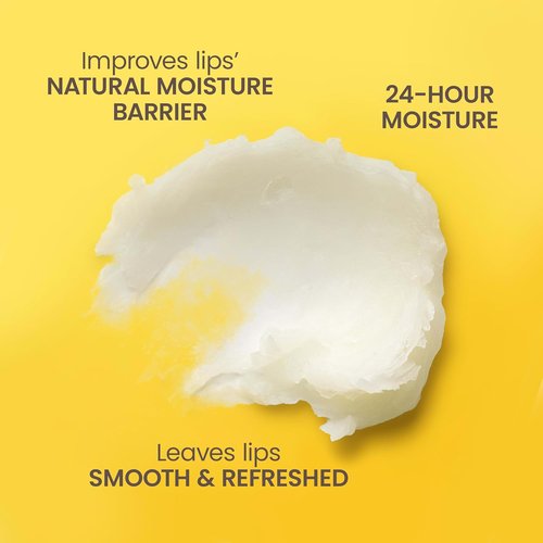 Burt's Bees Lip Balm - Coconut & Pear, Natural Moisturizer with Beeswax | 2 Tubes, 0.15 oz Each