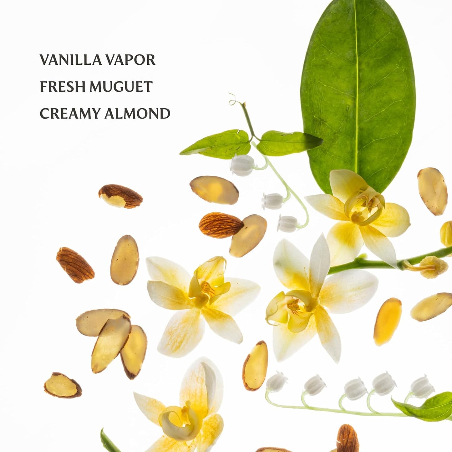 Touchland Hydrating Body & Hair Fragrance Mist - Vanilla Velvet | 2 FL OZ Travel Size Perfume Spray with Notes of Vanilla, Fresh Muguet & Creamy Almond