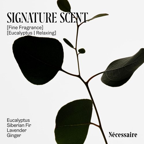 Nécessaire The Body Exfoliator - Eucalyptus AHA/BHA/PHA Formula for Resurfacing Skin | 180 ml / 6.1 fl oz