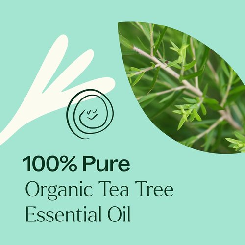 Plant Therapy Organic Tea Tree Oil - 100% Pure & USDA Certified Organic | Natural Aromatherapy 30 mL (1 oz)
