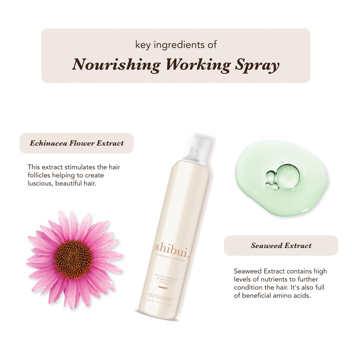 Shibui Nourishing Working Spray, Buildable Hold & Shine, Color-Safe, Vegan & Sulfate-Free, 10 Fl Oz