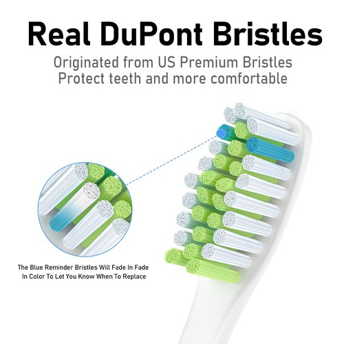 HEEPIM Replacment Brush Heads