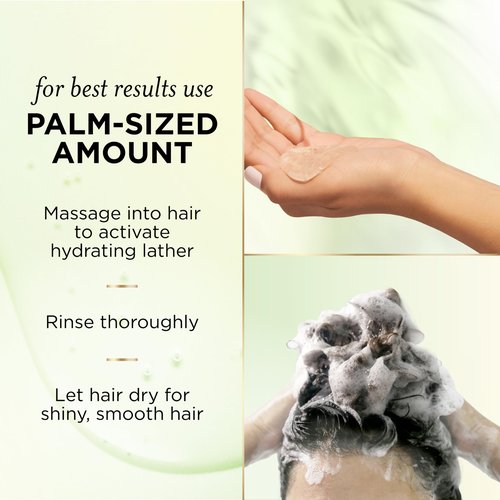 Pantene Sulfate Free Argan Oil Shampoo for Dry Damaged hair, Safe for Color Treated Hair, Smoothing and Moisturizing, Nutrient Infused with Vitamin B5, Anti Frizz, Pro-V Blends, 30.0 oz