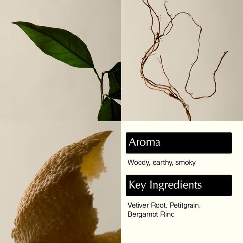 Aesop Reverence Aromatique Exfoliating Hand Wash - Gentle Cleansing & Skin-Smoothing Formula with Vetiver | 500mL / 16.9 oz