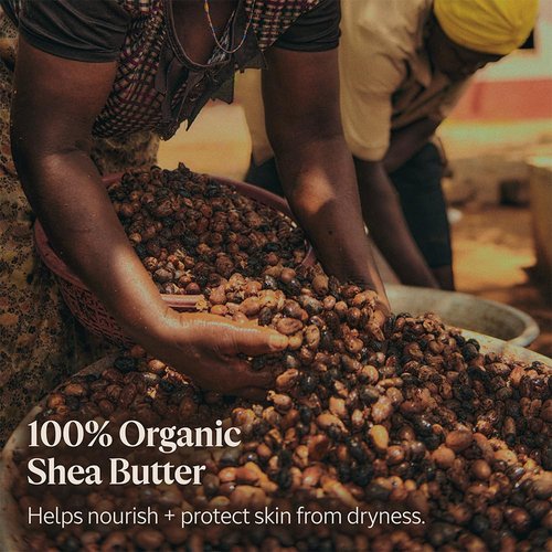 L'OCCITANE Organic Shea Butter Hand Cream - Nourishing & Fast-Absorbing, Non-Greasy Formula, 20% Rich Moisture