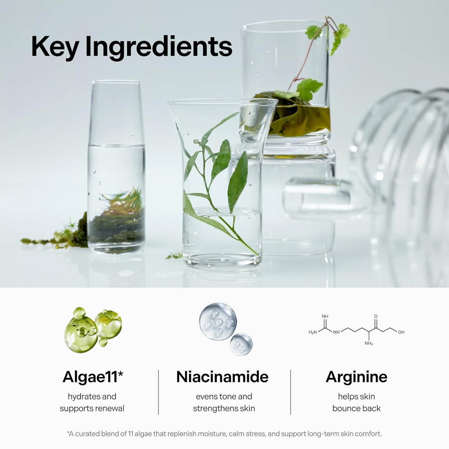 Skiennix Ultra Intensive Cream - Hydrating Korean Face Moisturizer with Niacinamide & Algae Extracts | 50ml