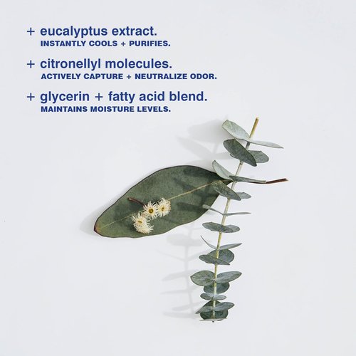 MALIN+GOETZ Deodorant - Eucalyptus & Bergamot Scents | Aluminum-Free Gel Stick | Vegan & Cruelty-Free (2.6oz & 1oz)