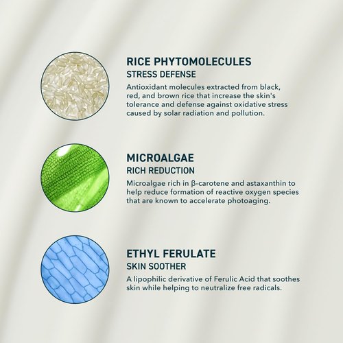 Prequel Skin Sunscreen - Moisturizing SPF 46 PA++++ Broad Spectrum UV Protection | Hydrating Travel Size, 1.7oz