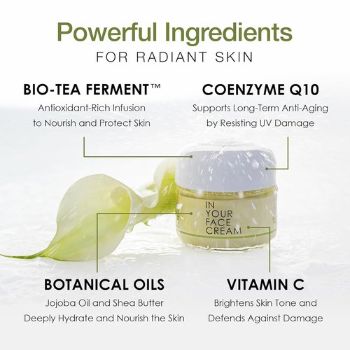 **IN YOUR FACE Cream - Luxurious Anti-Wrinkle Face Moisturizer with Coenzyme Q10 & Vitamin C - Deep Hydration for Youthful Skin**