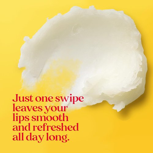 Burt's Bees Vanilla Maple Lip Balm - Moisturizing Formula for Unisex | 0.15 oz Natural Hydration