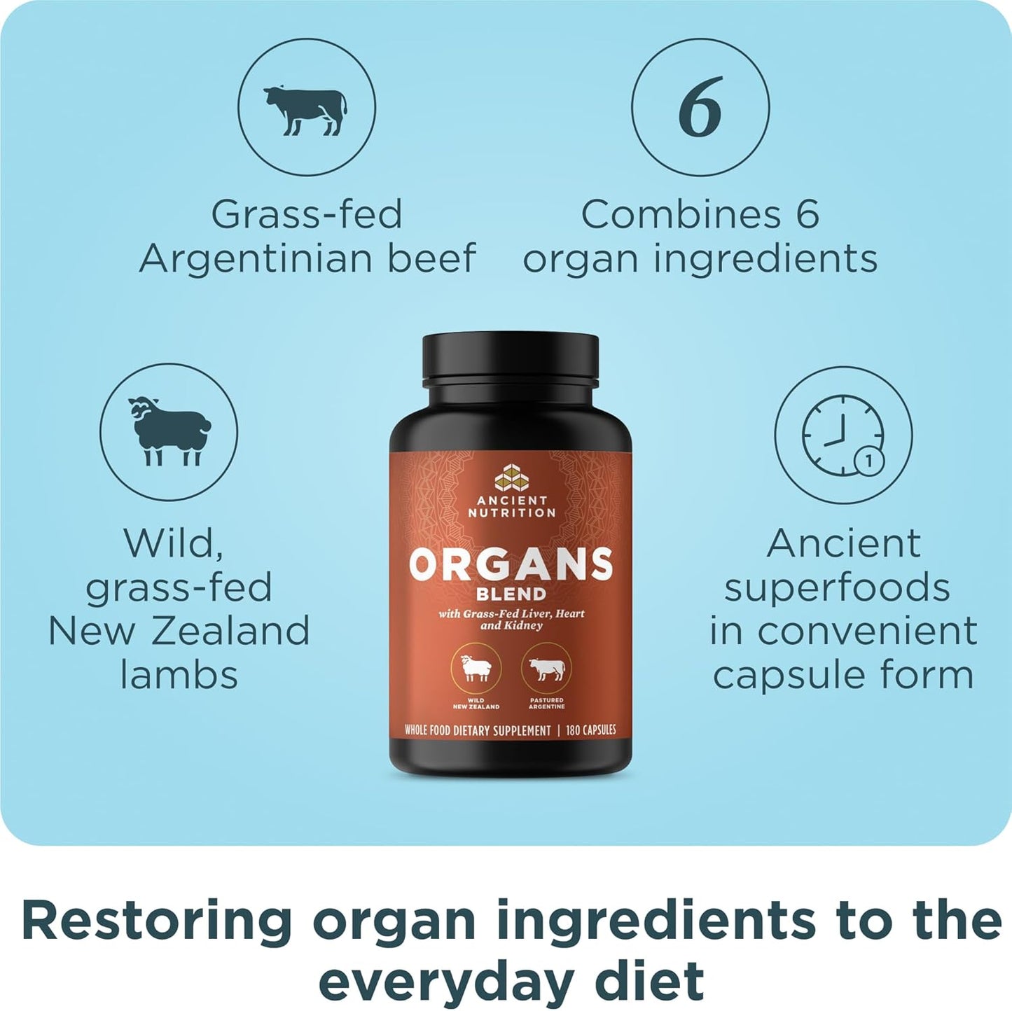 Ancient Nutrition Organ Supplements - Grass-Fed Organ Complex Capsules for Liver, Heart & Kidney Support | 180 Ct