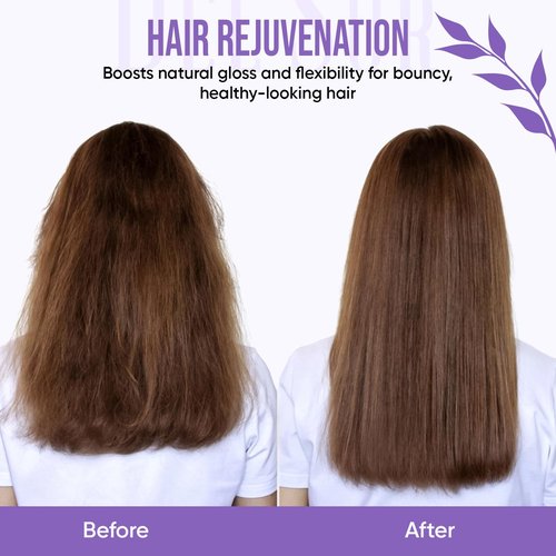 DEL SUR Hair Repair Shampoo & Conditioner Set - 16 Fl Oz Each | Moisturizing with Camellia Japonica & Biotin