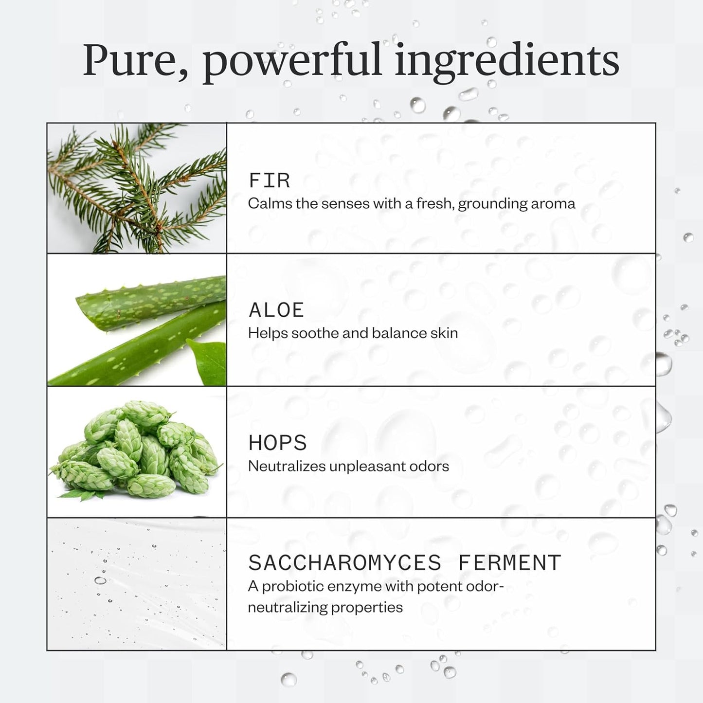Ursa Major Forest Fix Spray Deodorant - Aluminum-Free, Vegan & Non-Staining | 1.79 oz