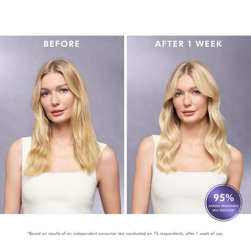 Moroccanoil Treatment | Purple Hair Oil for Blonde Hair - Nourishing & Color-Enhancing 3.4 oz