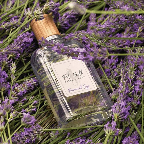 Ralph Lauren Fragrances Polo Earth - Provencial Sage Eau de Toilette - Citrus & Woody Scent with Bergamot, Sage & Lavender Notes