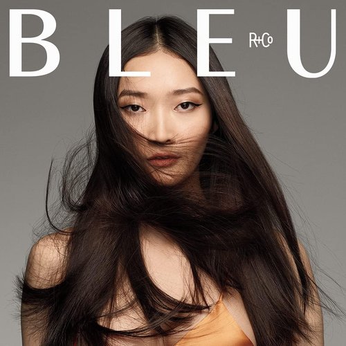 R+Co BLEU Smooth & Seal Blow Dry Mist - Frizz Control & Heat Protection | 4.2 oz