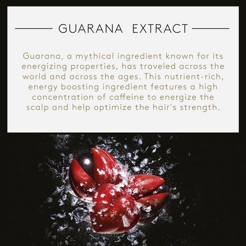 Rene Furterer Forticea Strengthening Shampoo - Energize Scalp with Rosemary Oil & Niacinamide | Sulfate-Free Formula