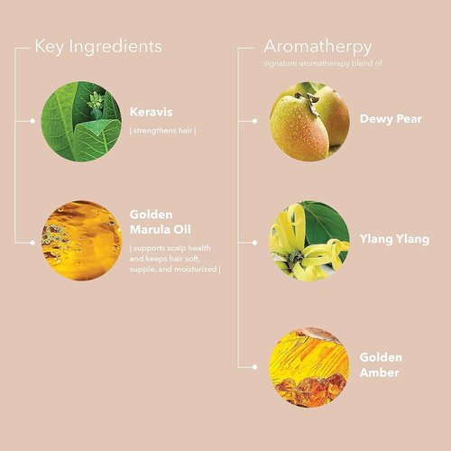 Pureology Nanoworks Gold Conditioner - Restores & Strengthens Very Dry, Color-Treated Hair | Sulfate-Free & Vegan